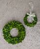 Boxwood Wreath, 11"