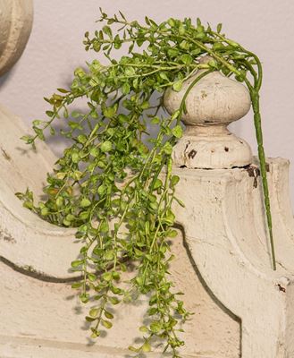 Picture of 19" Hanging Baby's Grass Bush