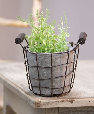 Picture of Classic Cement Planter w/ Rustic Wire Basket