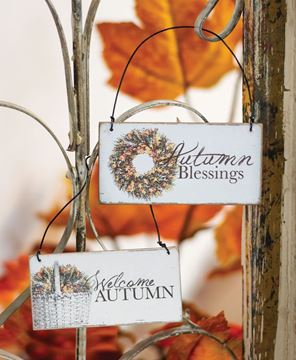 Picture of Autumn Blessings Ornament, 2/Set