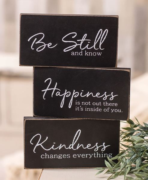 Picture of Kindness Changes Everything Wooden Block, 3/Set