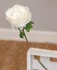 Picture of White Peony Stem