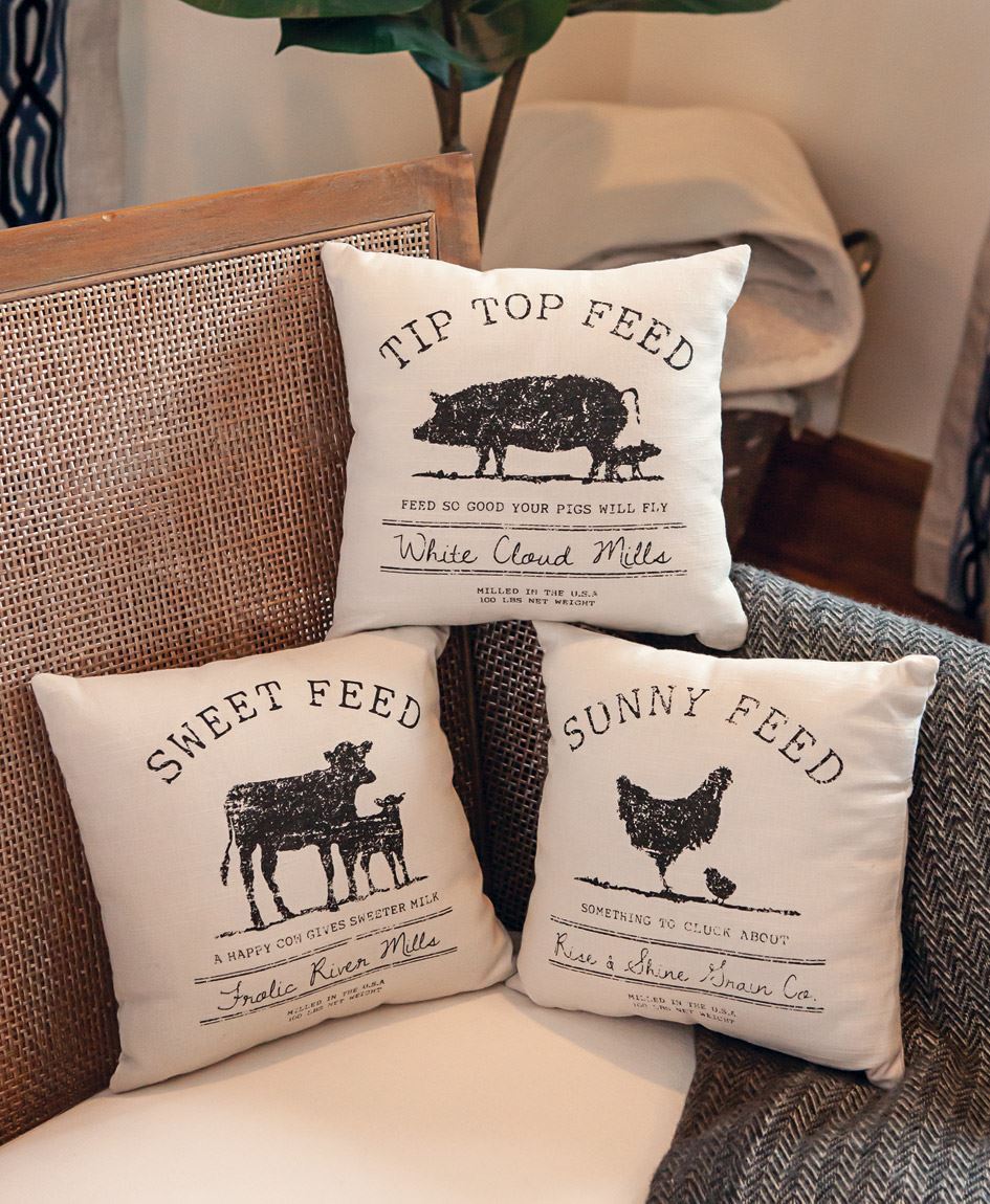 farmhouse dog pillow