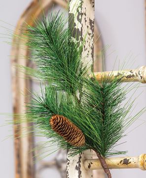 Picture of Pine Spray with Pinecone
