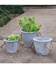 Picture of Cement Planter With Jute Handles, Large