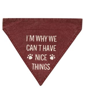Picture of I'm Why We Can't Have Nice Things Dog Bandana