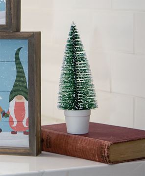 Picture of Potted Snowy Bottle Brush Tree, 7"