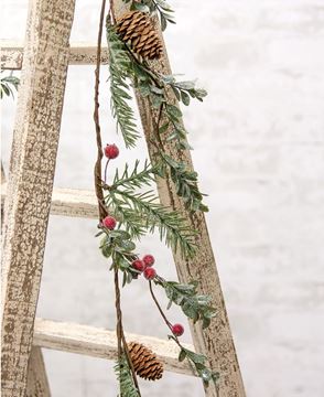 Picture of Sugar Berry Pine Garland
