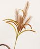 Picture of Brown Pampas Spray, 31"