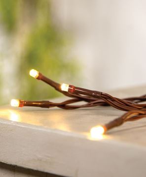 Picture of LED Battery Timer Lights, Brown Cord, 35 Lights