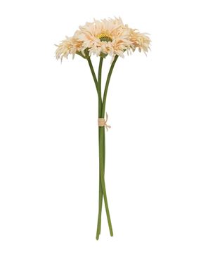 Picture of Triple Gerbera Daisy Bouquet, Cream Pink