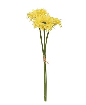 Picture of Triple Gerbera Daisy Bouquet, Light Yellow