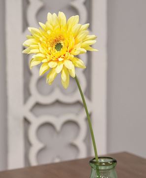 Picture of Blooming Daisy Stem, Dark Yellow