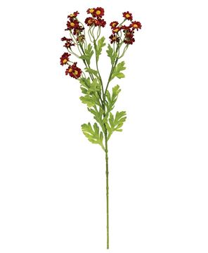Picture of Chamomile Flower Spray, Red