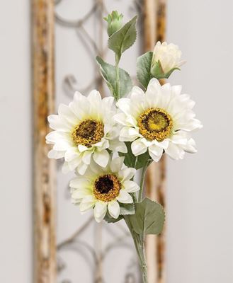 Picture of Sunflower Blooms Spray, White