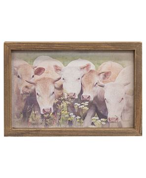 Picture of Gathered Cows Framed Print, Wood Frame