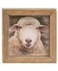 Picture of Farm Animal Mini Portrait Frame, 3/Set
