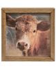 Picture of Cow Portrait Frame