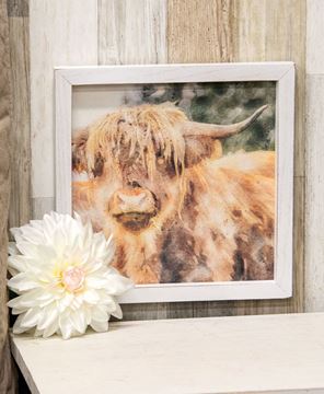 Picture of Shaggy Steer Framed Portrait