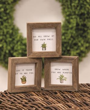 Picture of We All Grow Mini Frame, 3/Set