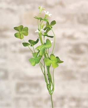 Picture of Clover Pick, 14"