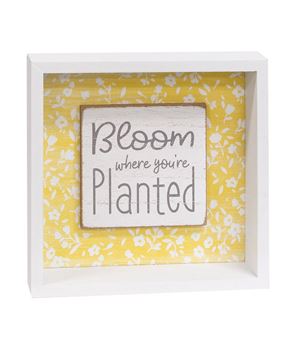 Picture of Bloom Where You're Planted Shadowbox Sign