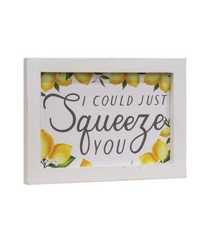 Picture of I Could Just Squeeze You Framed Sign