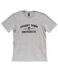 Picture of Spooky Town University T-Shirt, Heather Gray