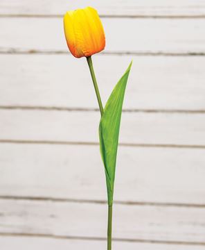 Picture of Sunrise Tulip Stem, 15.5"