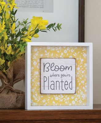 Picture of Bloom Where You're Planted Shadowbox Sign