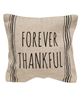 Picture of Forever Thankful Striped Natural Pillow