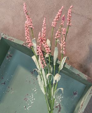Picture of Blush Heather Spray