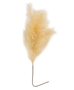 Picture of Weeping Pampas Grass Branch, Cream