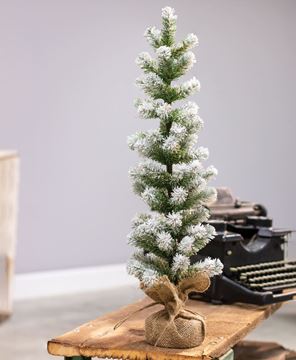 Picture of Snow Tipped Pine Tree, 24"