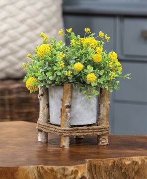 Picture of Cement Planter in Wooden Frame - 5" Sq. x 6" H