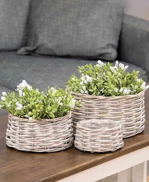 Picture of Graywashed Willow Planter Baskets, Short, 3/Set
