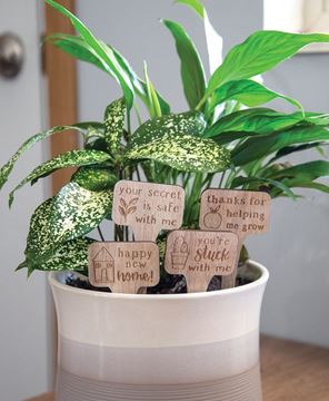 Picture of You're Stuck With Me House Plant Poke, 4/Set