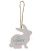 Picture of Oh Hoppy Day Easter Bunny Ornament, 3/Set
