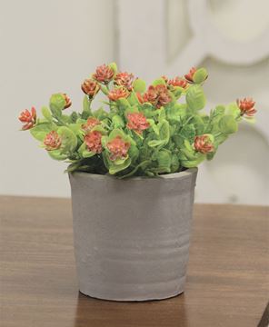 Picture of Cement Planter, 3.5" x 4.5"