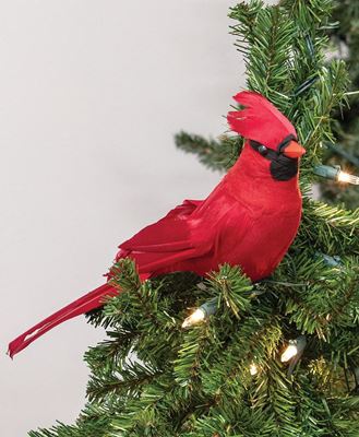 Picture of Red Feathered Cardinal Clip, 12"