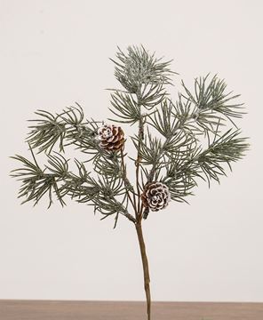 Picture of Iced Weeping Pine Pick, 14.5"