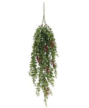 Picture of Lady Ruscus & Berries Hanging Bush, 36"