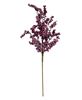 Picture of Canella Berries Spray, 25", Plum