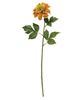 Picture of Golden Dahlia Stem, 24"