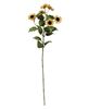 Picture of Teastain Mini Sunflower Spray, 30"