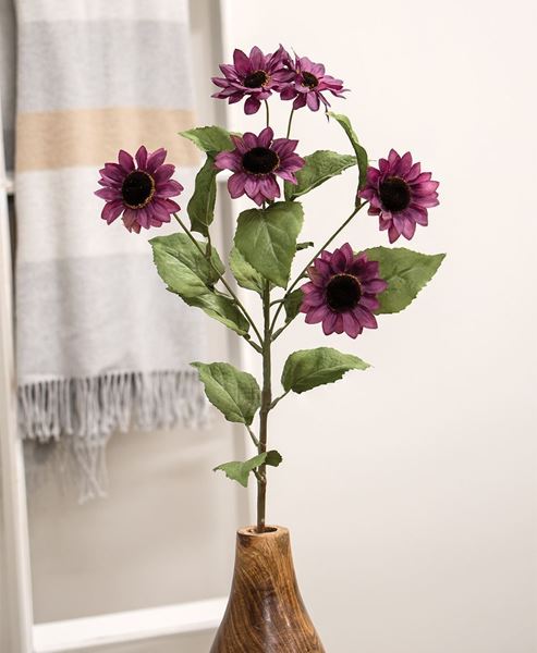 Picture of Plum Mini Sunflower Spray, 30"