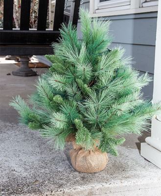 Picture of River Valley Mixed Pine Tree w/Burlap Base, 28"