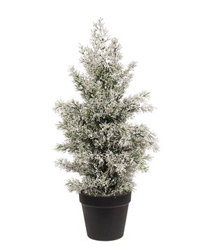 Picture of Snowy Juniper Tree in Pot, 19"