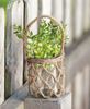 Hanging Rope Planter