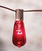 Red & Green Edison String Lights 